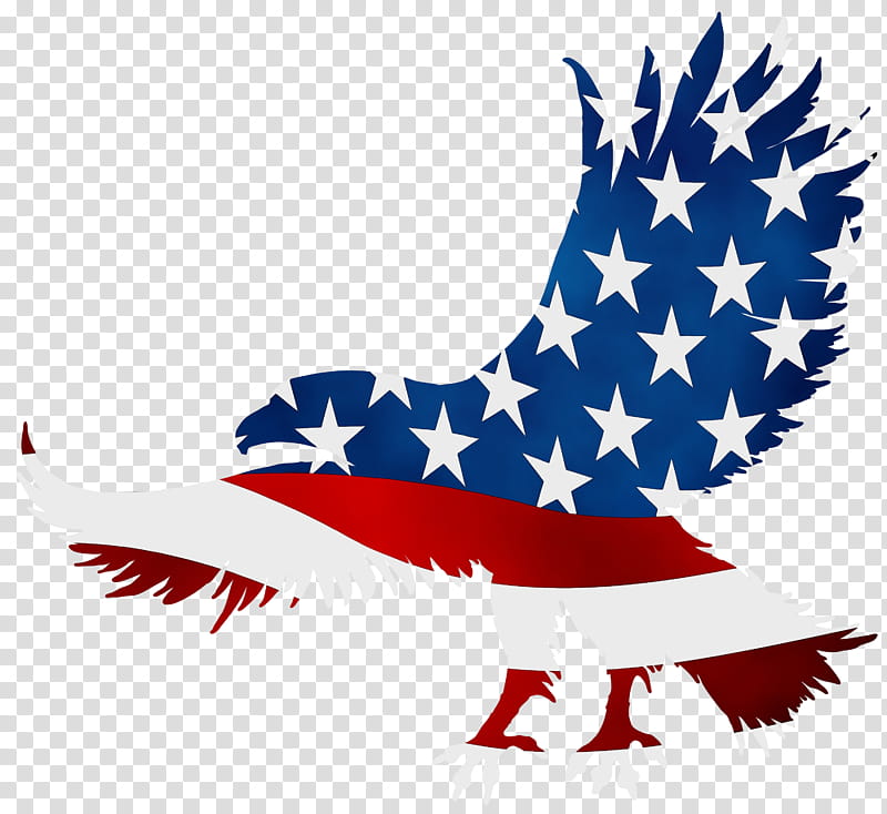 Veterans Day United States, Flag Of The United States, Beak, Bird, Bird Of Prey, Sky, Americans, Eagle transparent background PNG clipart