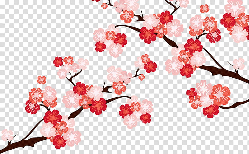 Cherry blossom, Flower, Branch, Plant, Red, Pink, Spring
, Tree transparent background PNG clipart