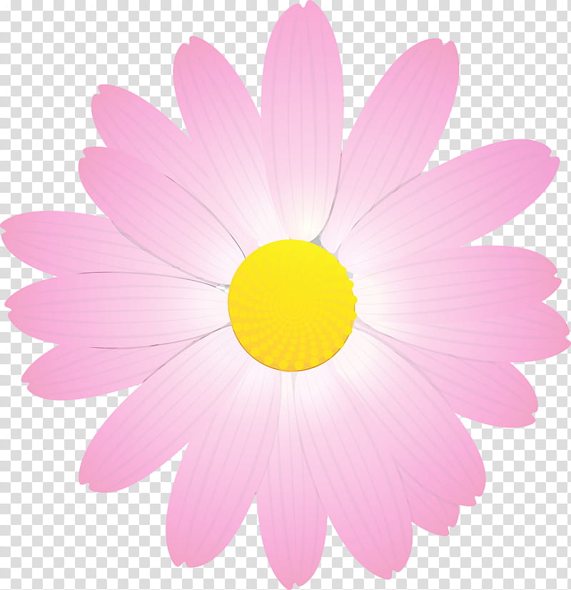 Daisy, Marguerite Flower, Spring Flower, Watercolor, Paint, Wet Ink, Pink, Petal transparent background PNG clipart