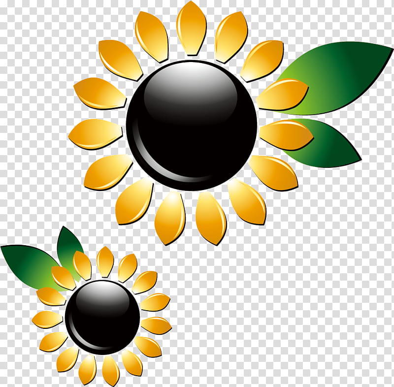 sunflower summer flower, Lumos Energy, Personal Care, Vegetable Oil, Soap, Lallah Rookh, Renewable Energy, Logo transparent background PNG clipart