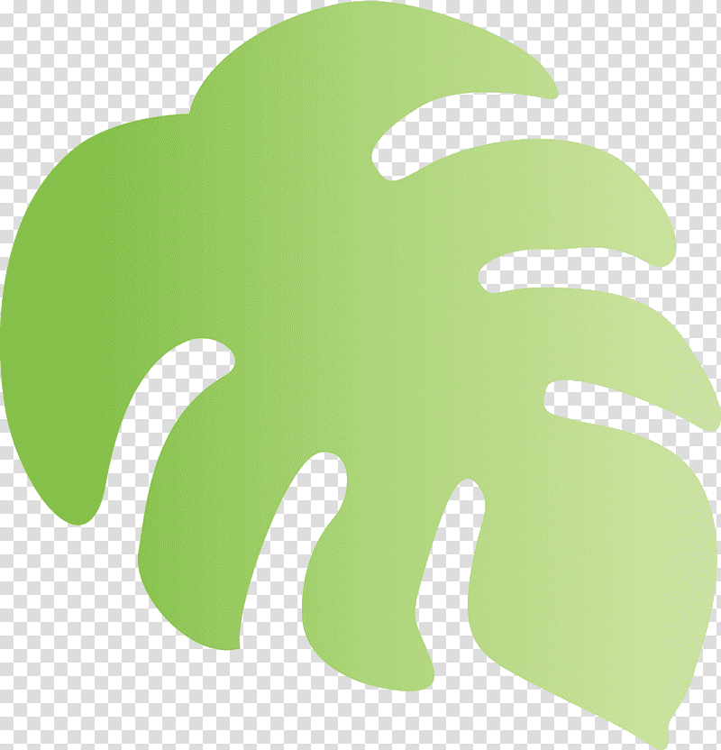 monstera tropical leaf, Green, Meter, Tree, Symbol, Plant Structure, Science transparent background PNG clipart