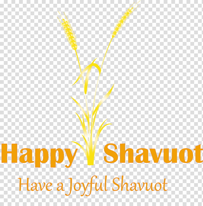 Happy Shavuot Shavuot Shovuos, Text, Yellow, Logo, Line, Plant transparent background PNG clipart