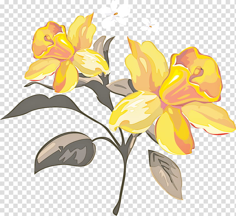 flower yellow plant petal narcissus, Pedicel, Cut Flowers, Watercolor Paint, Herbaceous Plant, Plant Stem, Wildflower, Amaryllis Family transparent background PNG clipart