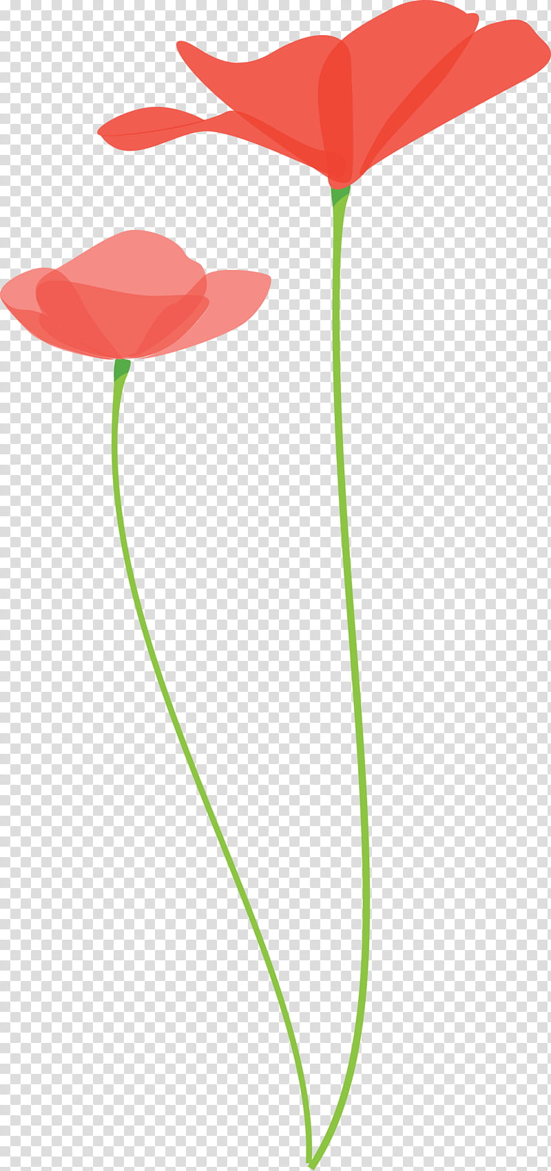 poppy flower, Plant Stem, Pedicel, Tulip, Anthurium, Coquelicot, Poppy Family transparent background PNG clipart