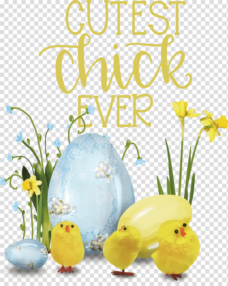 Happy Easter Cutest Chick Ever, Easter Bunny, Easter Egg, Easter Parade, Easter Basket, Holiday, Easter Postcard transparent background PNG clipart
