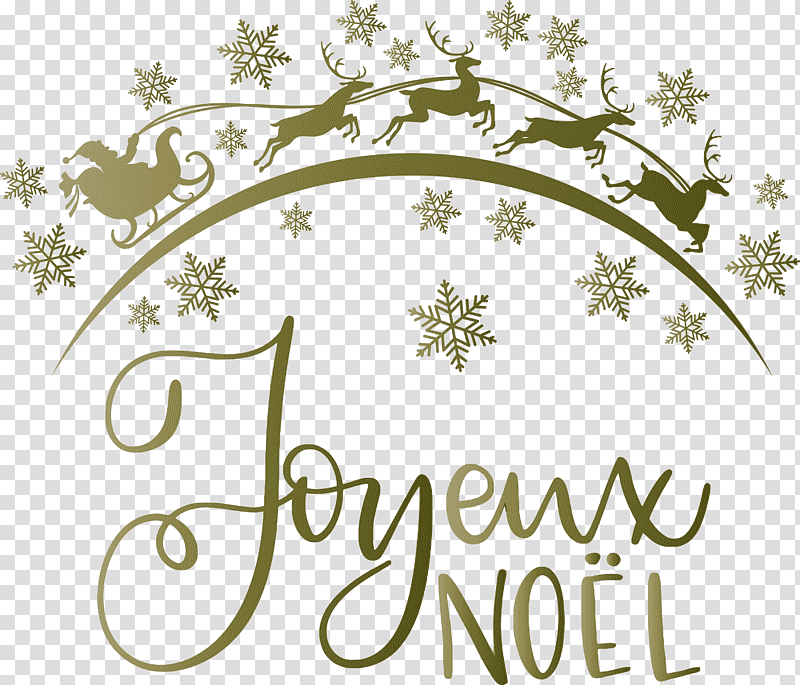 Noel Nativity Xmas, Christmas , Christmas Day, , Computer Graphics, Floral Design, Can I Go To The Washroom Please transparent background PNG clipart