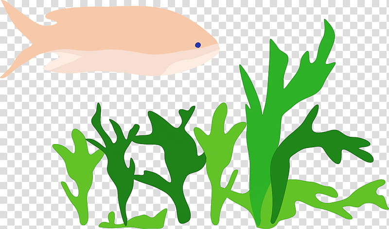 sea fish, Green, Grass, Plant transparent background PNG clipart