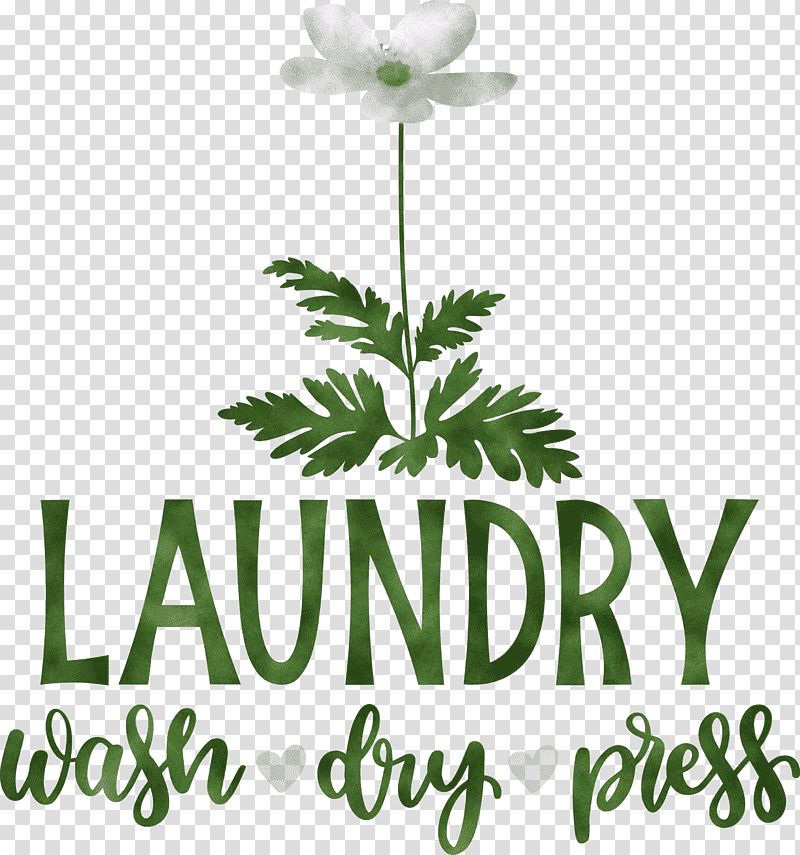 Laundry Wash Dry, Press, Cut Flowers, Leaf, Plant Stem, Floral Design, Flowerpot transparent background PNG clipart