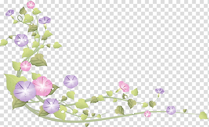 Floral design, Morning Glory, Summer Flower, Watercolor, Paint, Wet Ink, Frame, Floristry transparent background PNG clipart