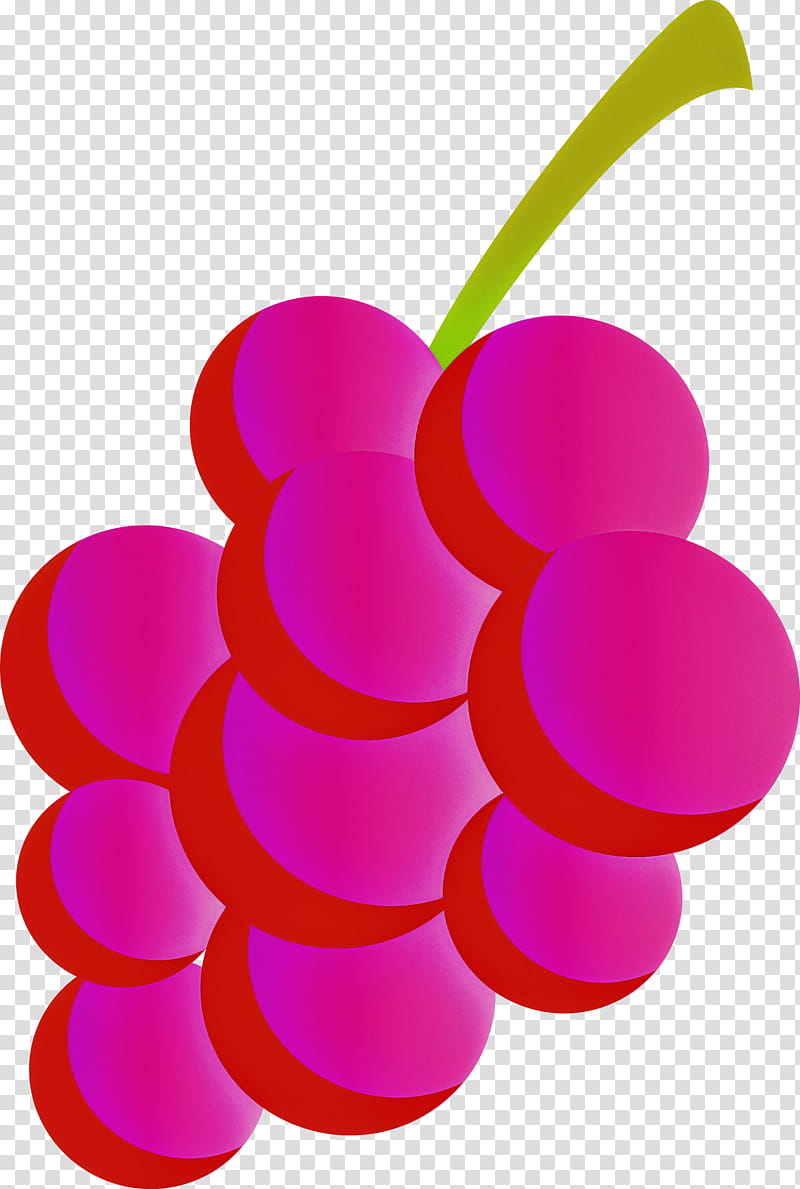 Grapes hand-drawn illustration. Grapes. Vector... - Stock Illustration  [104443099] - PIXTA