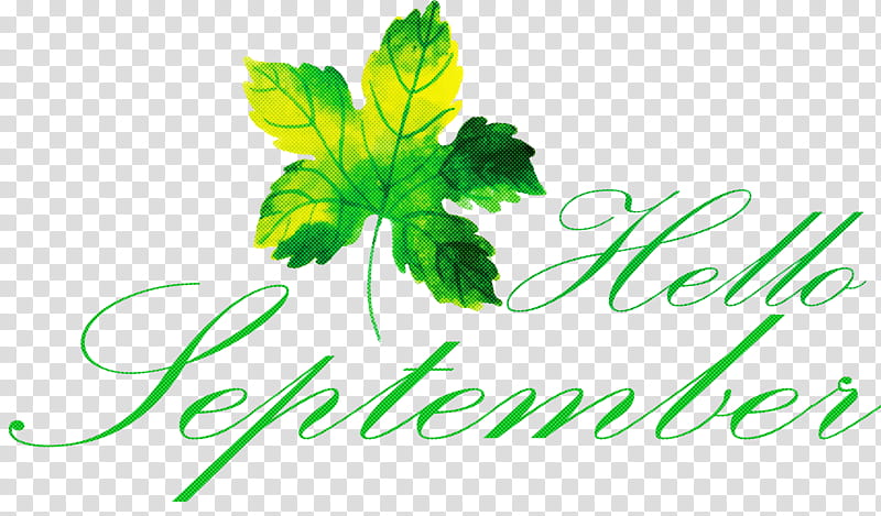hello september, Leaf Vegetable, Plant Stem, Vegetarian Cuisine, Grape Leaves, Cooking Banana, Herb, Herbaceous Plant transparent background PNG clipart