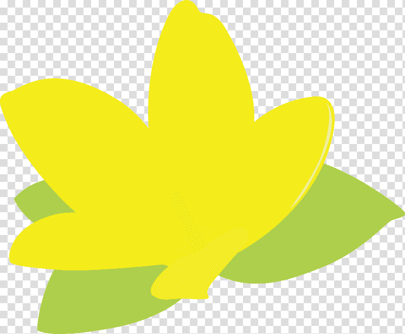 jasmine jasmine flower, Petal, Butterflies, Leaf, Yellow, Meter, Fruit transparent background PNG clipart
