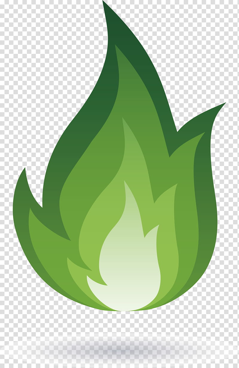 flame fire, Leaf, Green, Fruit, Plant Structure, Biology, Plants, Science transparent background PNG clipart