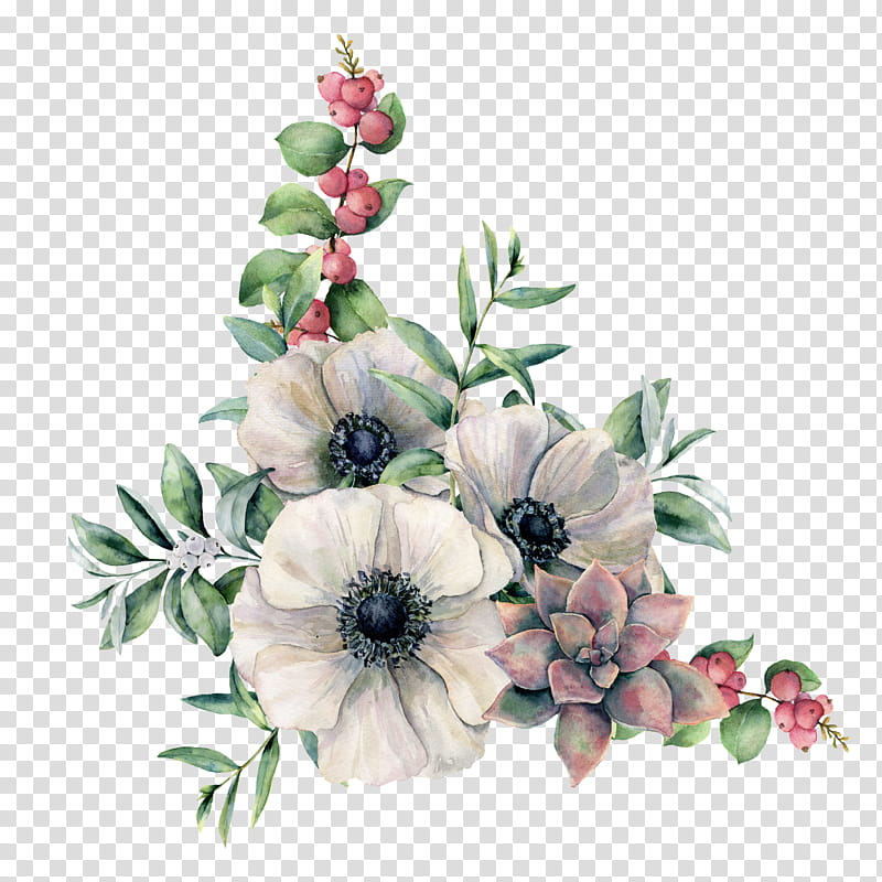anemone flower watercolor painting gum trees branch, Leaf, Succulent Plant, Royaltyfree, Buttercup transparent background PNG clipart