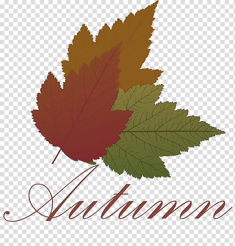 Hello Autumn Welcome Autumn Hello Fall, Welcome Fall, Watercolor Painting, Leaf Painting, Visual Arts, Drawing, Cartoon, Poster transparent background PNG clipart