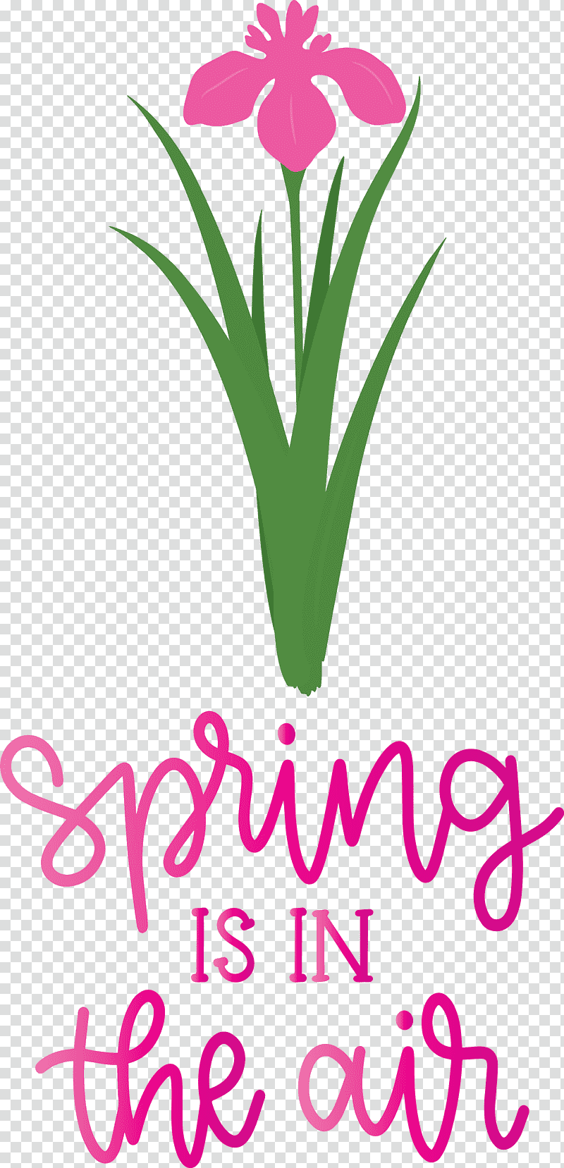 Spring Is In The Air Spring, Spring
, Cut Flowers, Floral Design, Logo, Plant Stem, Petal transparent background PNG clipart