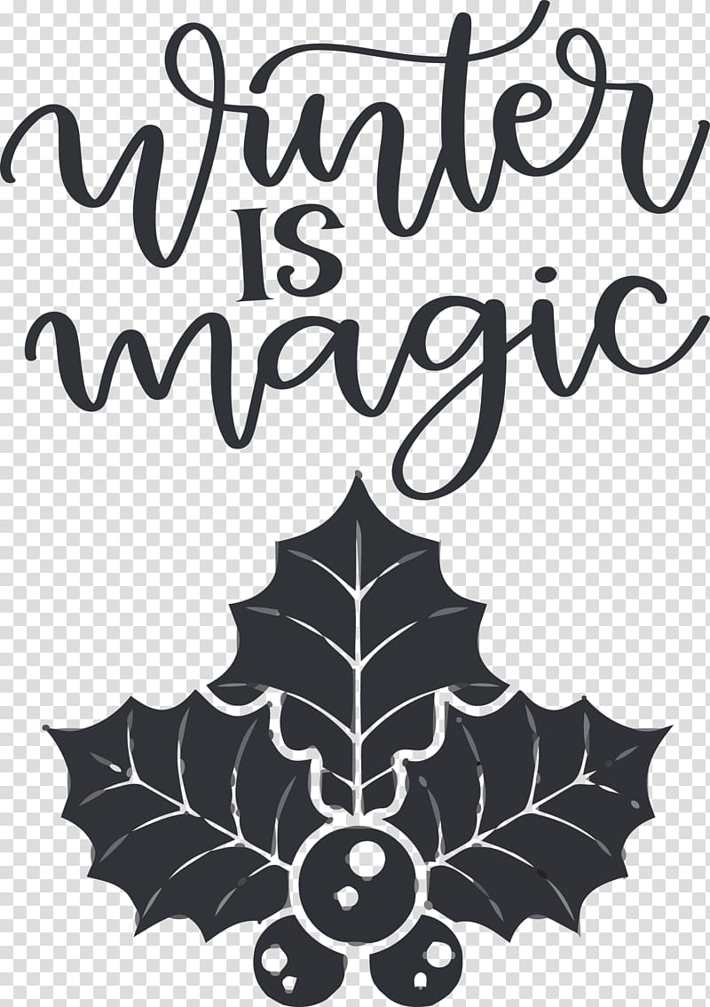 Winter Is Magic Hello Winter Winter, Winter
, Decal, Logo, Visual Arts, Text, Emblem, Sticker transparent background PNG clipart