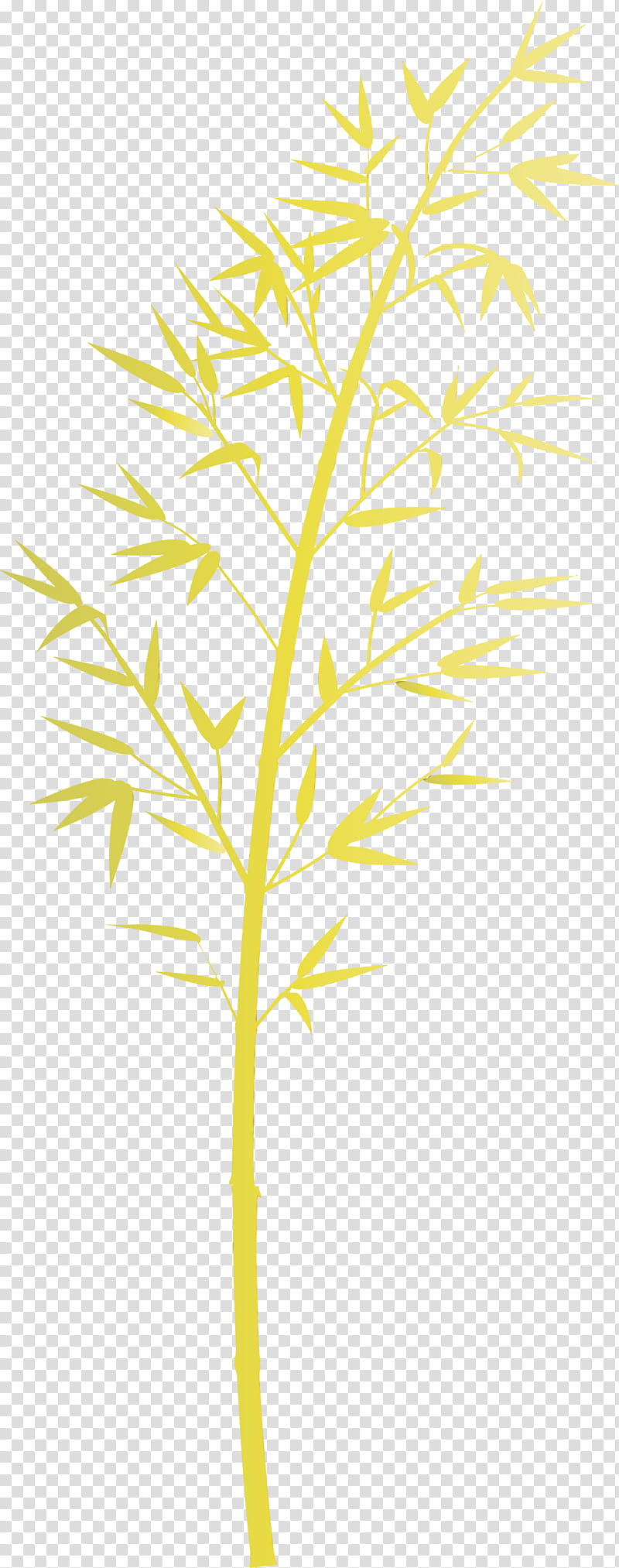 leaf plant yellow plant stem tree, Bamboo, Watercolor, Paint, Wet Ink, Twig, Flower, Branch transparent background PNG clipart