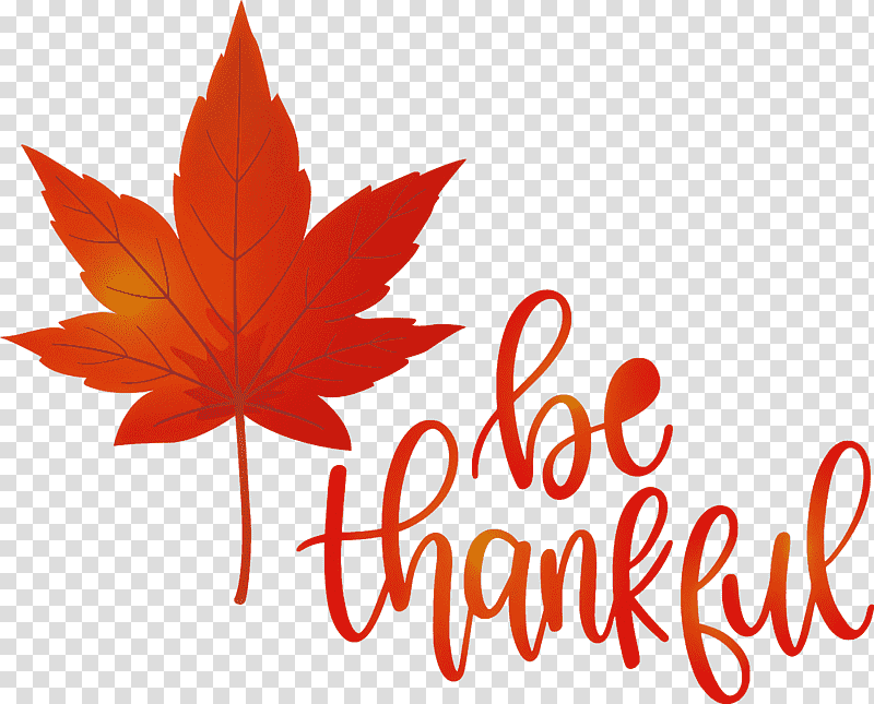 Thanksgiving Be Thankful Give Thanks, Leaf, Maple Leaf, Logo, Tree, Meter, Line transparent background PNG clipart