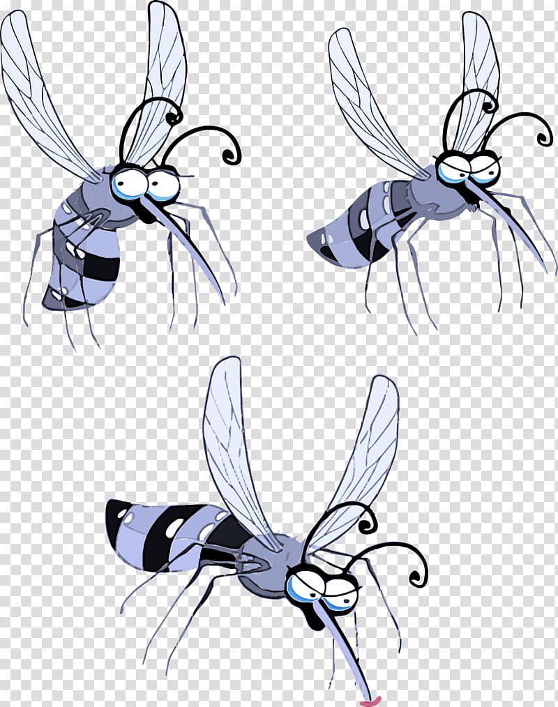 Bumblebee, Insect, Membranewinged Insect, Pest, Fly, Honeybee, Stable Fly, Pollinator transparent background PNG clipart