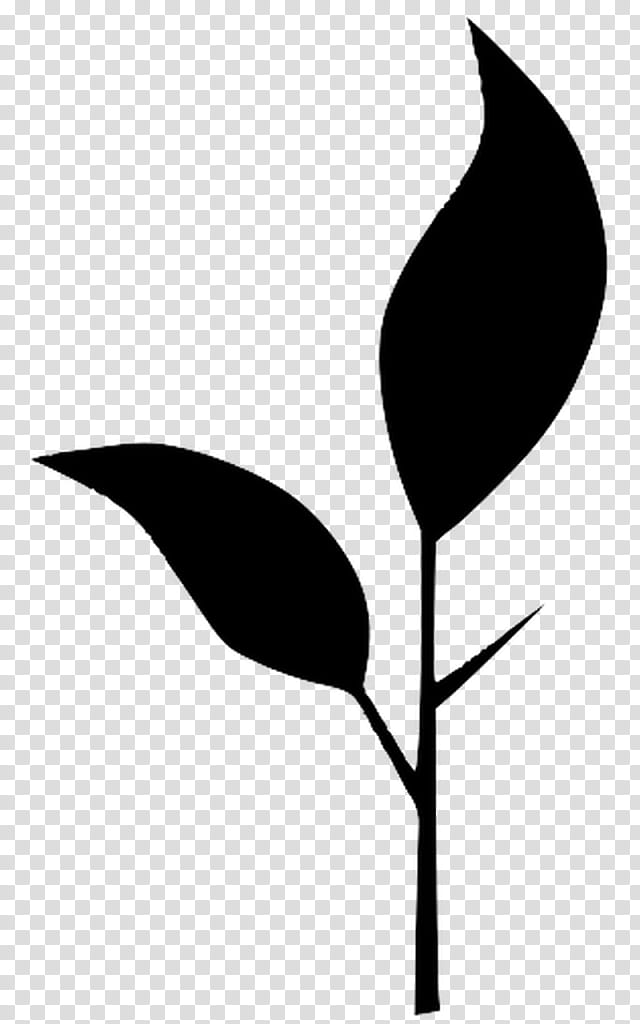 leaf black-and-white plant flower anthurium, Blackandwhite, Plant Stem, Pedicel, Arum Family transparent background PNG clipart