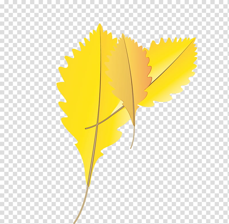 vliestapete color birds yellow, Autumn Leaf, Fall Leaf, Cartoon Leaf, Watercolor, Paint, Wet Ink, Childrens Room transparent background PNG clipart