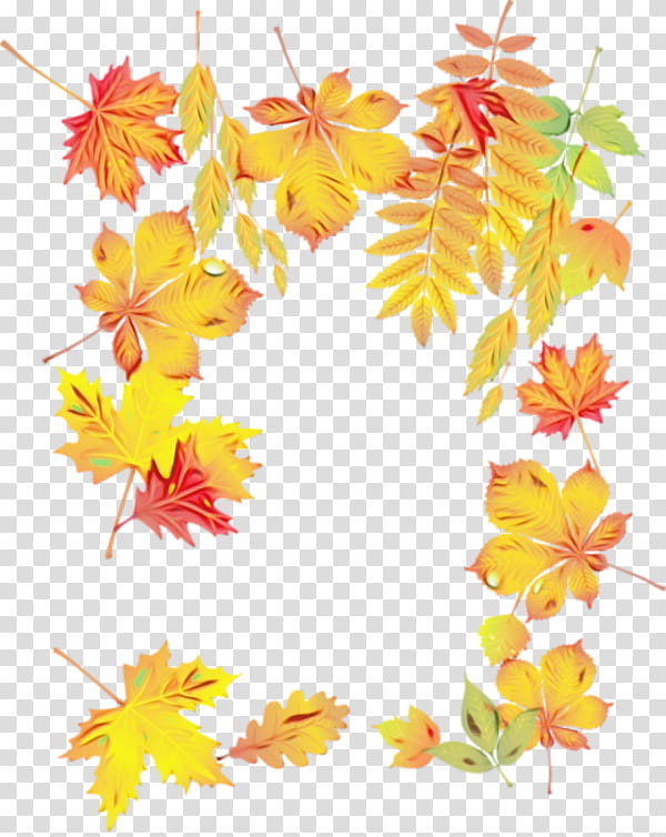 Maple leaf, Watercolor, Paint, Wet Ink, Floral Design, Petal, Yellow, Line transparent background PNG clipart
