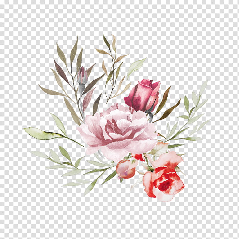 flower plant protea pink common peony, Chinese Peony, Cut Flowers, Petal, Tulip, Protea Family transparent background PNG clipart