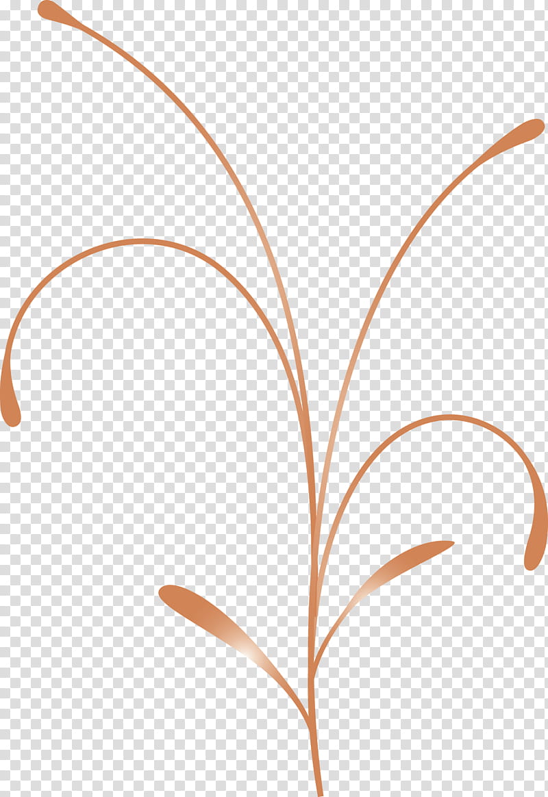 easter flower spring flower, Leaf, Orange, Plant, Grass Family, Line, Plant Stem transparent background PNG clipart