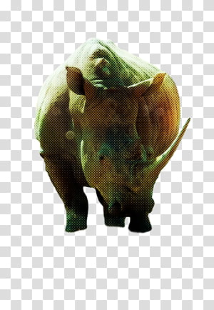 snout rhinoceros golden retriever labrador retriever horn, Japanese Rhinoceros Beetle, Whiskers, Wildlife, Biology, Science, Dog transparent background PNG clipart thumbnail