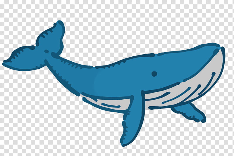 Shark, Dolphin, Cetaceans, Porpoise, Whales, Animal Figurine, Microsoft Azure, Biology transparent background PNG clipart