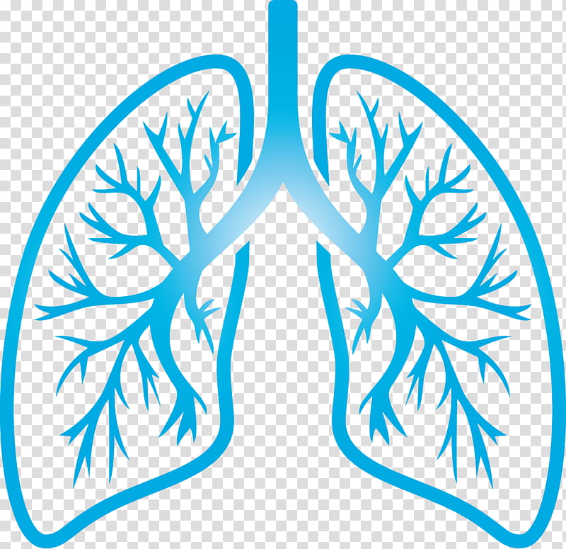 lungs COVID Corona Virus Disease, Leaf, Aqua, Electric Blue, Symmetry transparent background PNG clipart