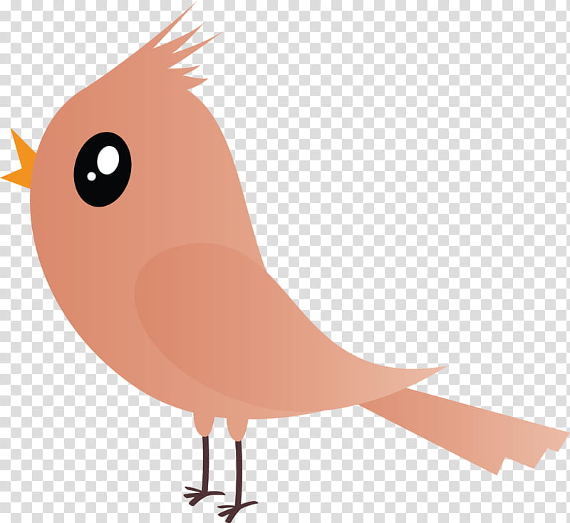 bird cartoon beak european robin tail, Cartoon Bird, Cute Bird, Songbird, Perching Bird, Old World Flycatcher, Animation transparent background PNG clipart