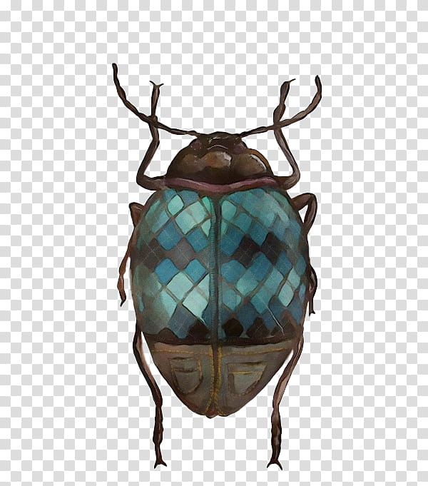 deer scarabs true bugs antler turquoise, Watercolor, Paint, Wet Ink, Insect, Science, Biology transparent background PNG clipart