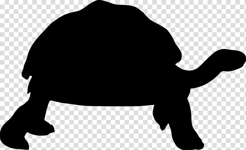 Sea Turtle, Reptile, Tortoise, Silhouette, Desert Tortoise, Greek Tortoise, Gopher Tortoise, Texas Tortoise transparent background PNG clipart