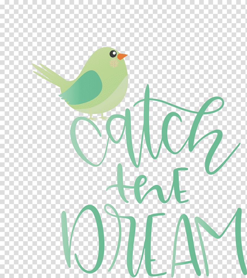 Catch The Dream Dream, Birds, Logo, Beak, Green, Meter, Feather transparent background PNG clipart