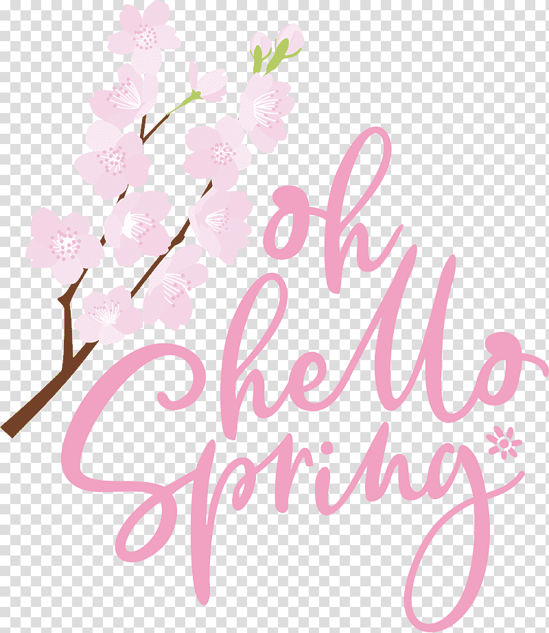 Oh Hello Spring Hello Spring Spring, Spring
, Floral Design, Petal, Calligraphy, Flower, Spring transparent background PNG clipart