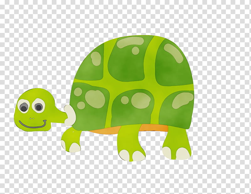 tortoise turtles tortoise m green, Watercolor, Paint, Wet Ink, Cartoon transparent background PNG clipart