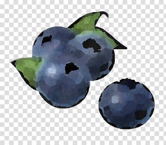 berry fruit blueberry blackberry plant, Bilberry, Tree, European Plum, Food, Grape, Vitis transparent background PNG clipart