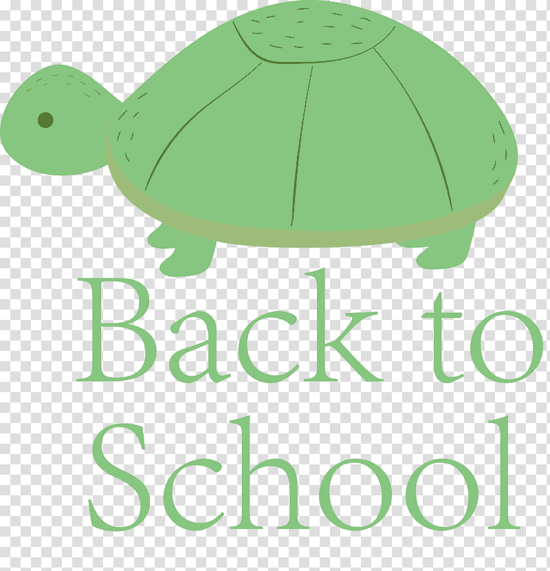 Back to School, Tortoise, Logo, Sea Turtles, Green, Leaf, Meter transparent background PNG clipart