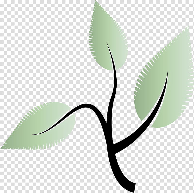 Ecology environmental protection, Leaf, Plant Stem, Root, Twig, Leaf Angle Distribution, Tree, Woody Plant transparent background PNG clipart