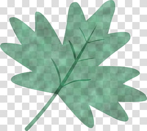 Maple leaf, Watercolor Leaf, Green, Tree, Plant, Woody Plant transparent background PNG clipart thumbnail