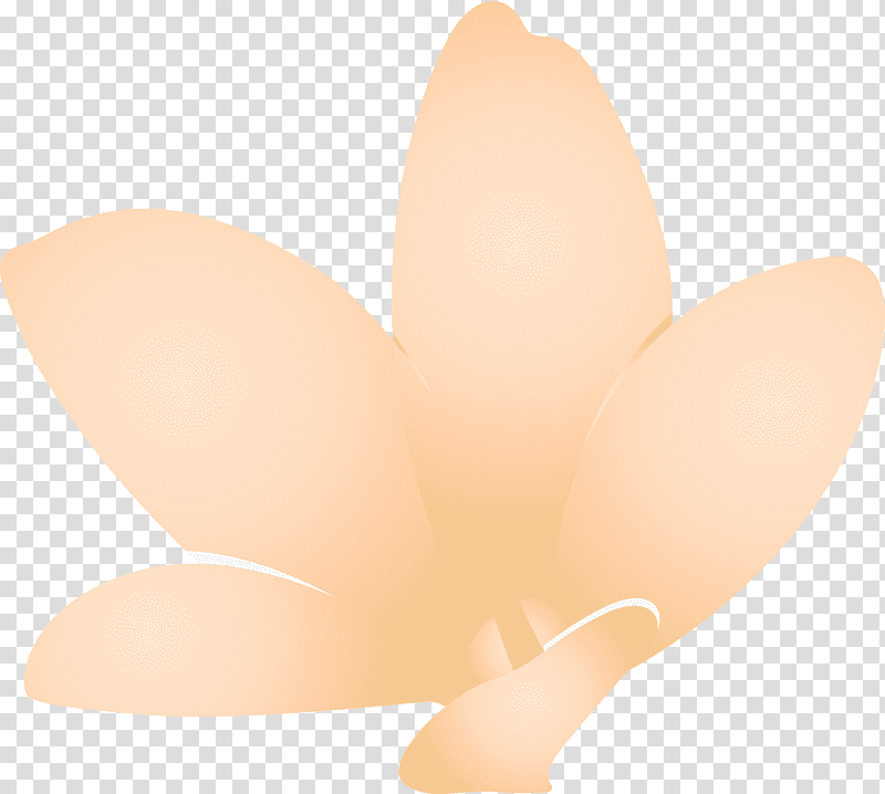 jasmine jasmine flower, Lighting, Hm, Peach transparent background PNG clipart