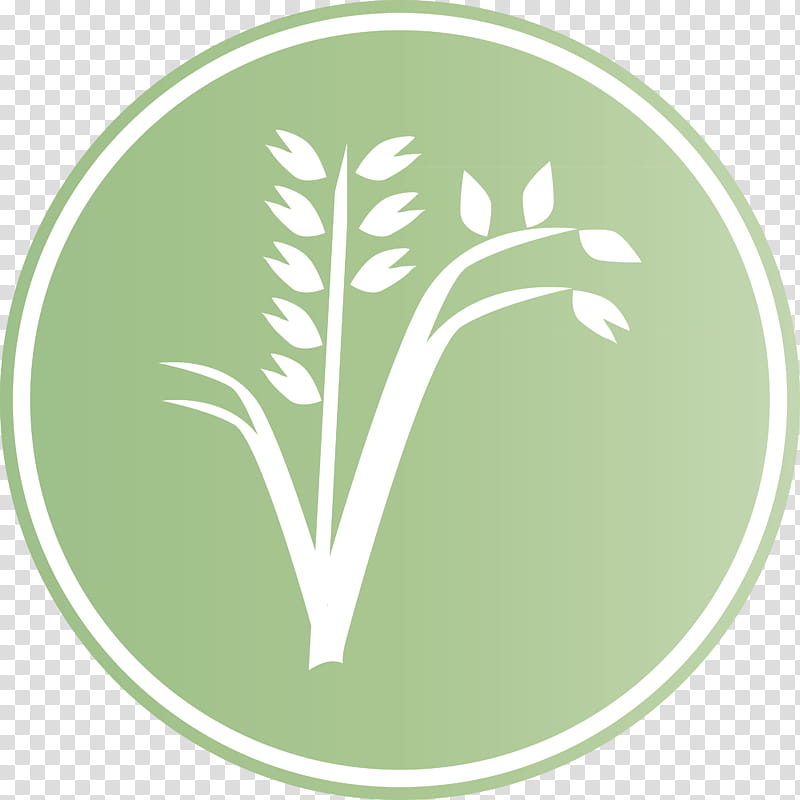 oats wheat oats logo, Oats Icon, Leaf, Green, Meter, Tree, Plant Structure, Science transparent background PNG clipart