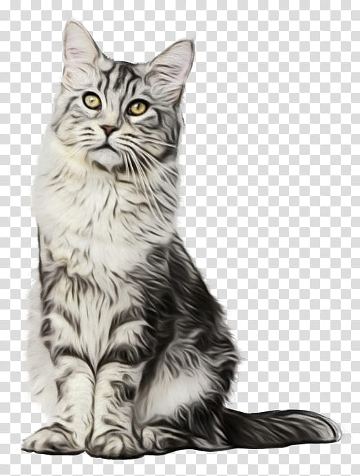 kitten american shorthair maine coon oxygen saturation domestic short-haired cat, Watercolor, Paint, Wet Ink, Domestic Shorthaired Cat, California Spangled, Dragon Li, European Shorthair transparent background PNG clipart