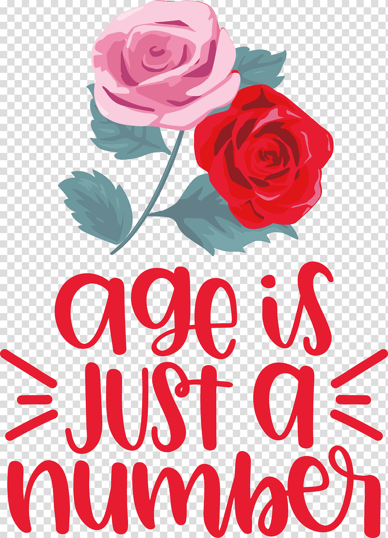 Birthday Age Is Just A Number, Birthday
, Floral Design, Garden Roses, Cut Flowers, Petal, Rose Family transparent background PNG clipart