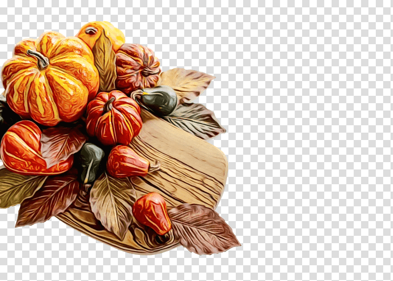 Thanksgiving, Watercolor, Paint, Wet Ink, Youtube, Pumpkin, Momentum transparent background PNG clipart