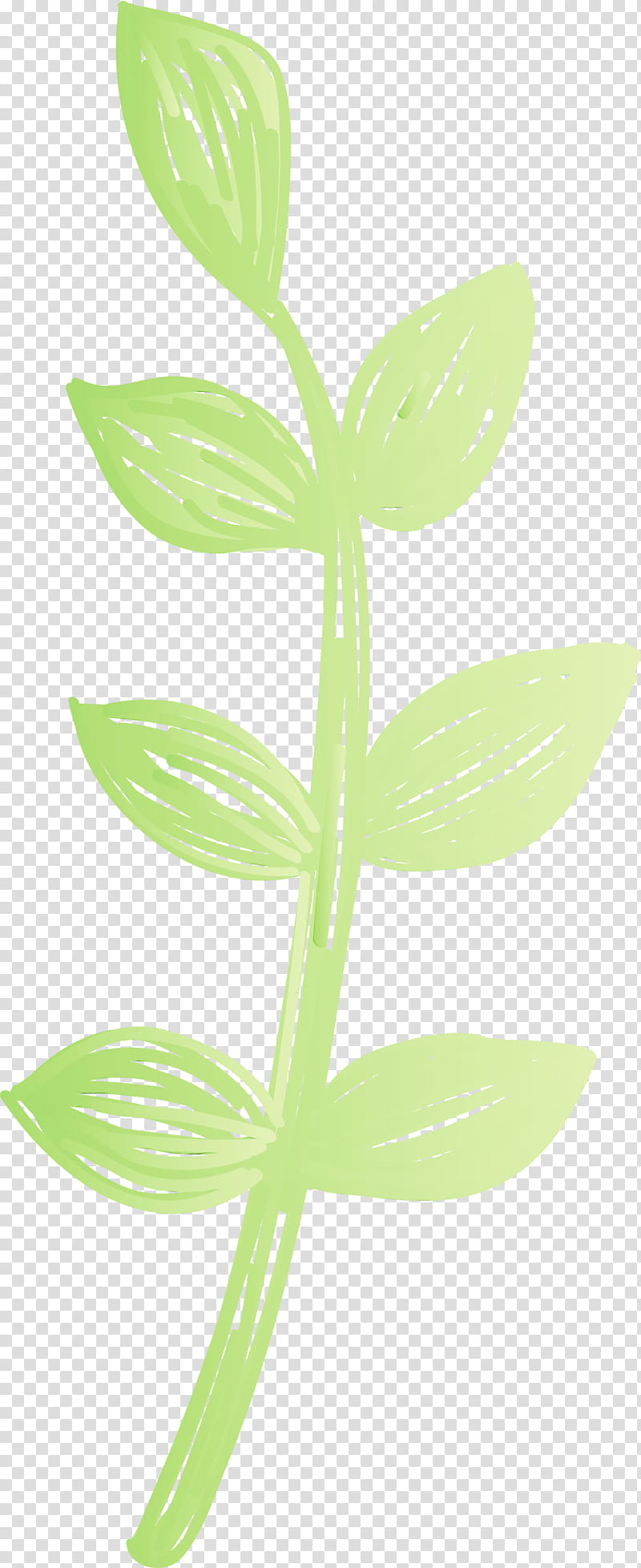 leaf plant stem flower plants science, Mexico Elements, Watercolor, Paint, Wet Ink, Plant Structure, Biology transparent background PNG clipart