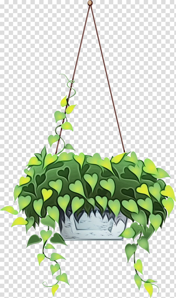 flowerpot plant flower leaf houseplant, Watercolor, Paint, Wet Ink, Swing, Anthurium, Impatiens transparent background PNG clipart
