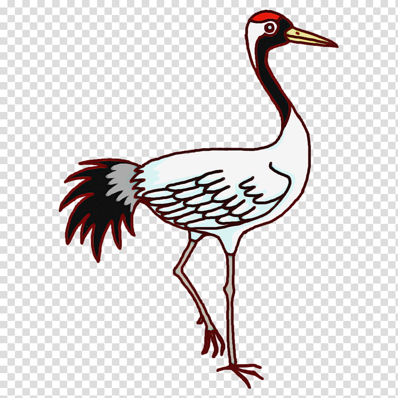 Feather, White Stork, Birds, Ibis, Crane, Hummingbirds, Pelecaniformes, Passerine transparent background PNG clipart